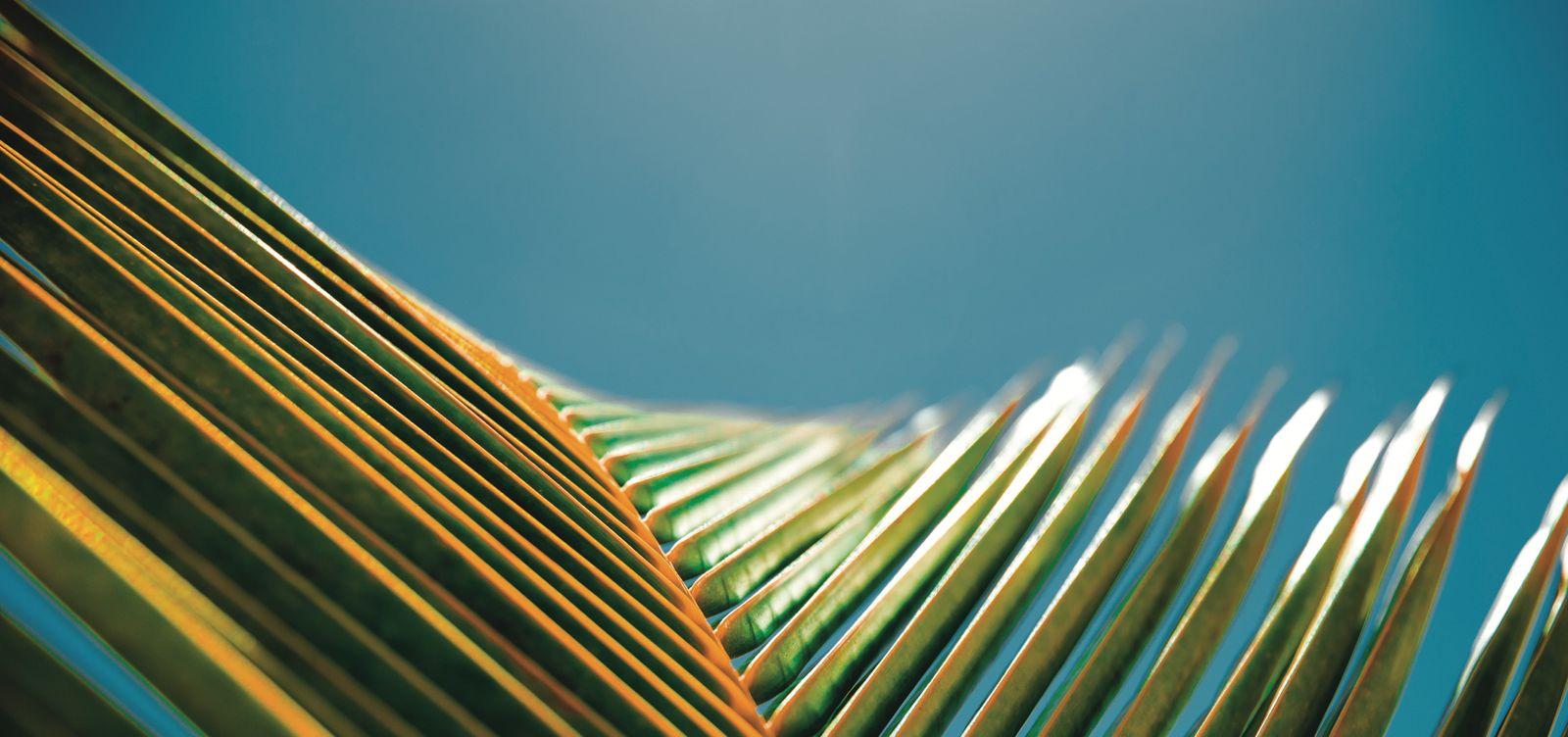 Dubai'nin yeni gelişen bölgesinde yatırımlık lüks proje- DAMAC Riverside