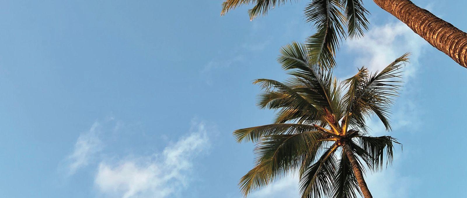 Dubai'nin yeni gelişen bölgesinde yatırımlık lüks proje- DAMAC Riverside